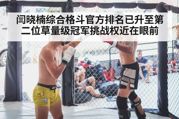 闫晓楠综合格斗官方排名已升至第二位草量级冠军挑战权近在眼前